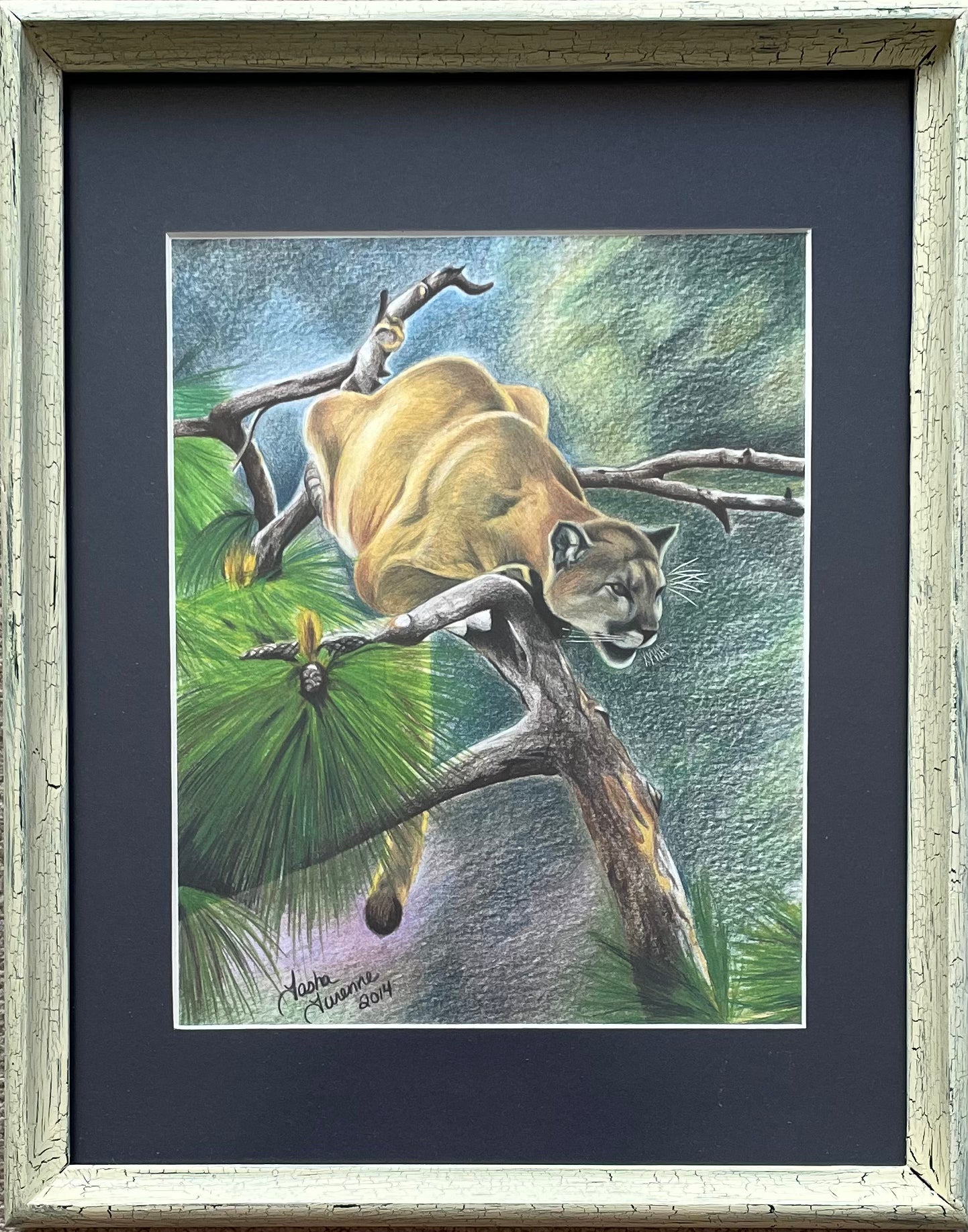 Mountain Lion Original & Print