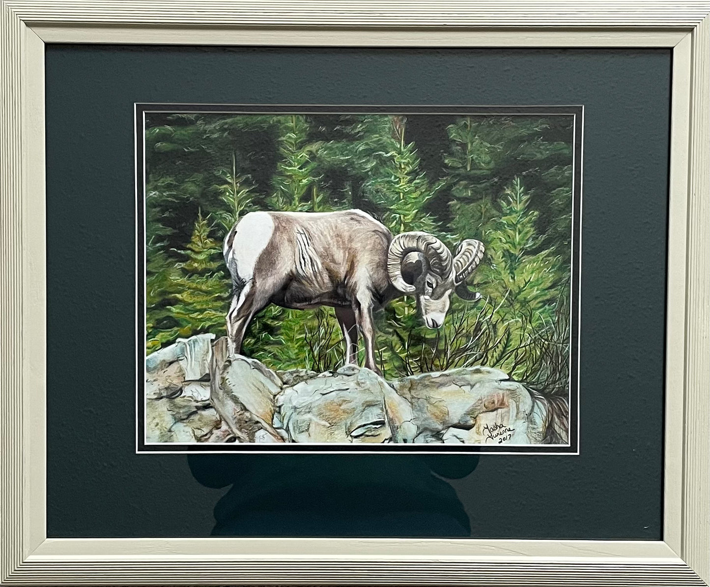 Mountain Sheep Original