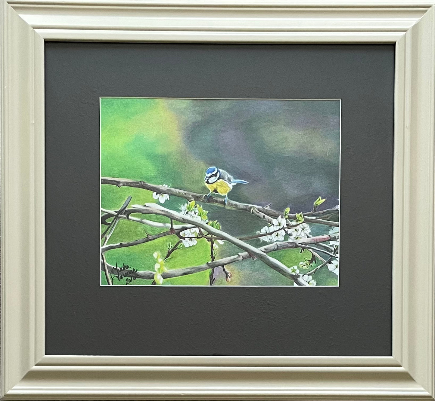 Blue Tit Original