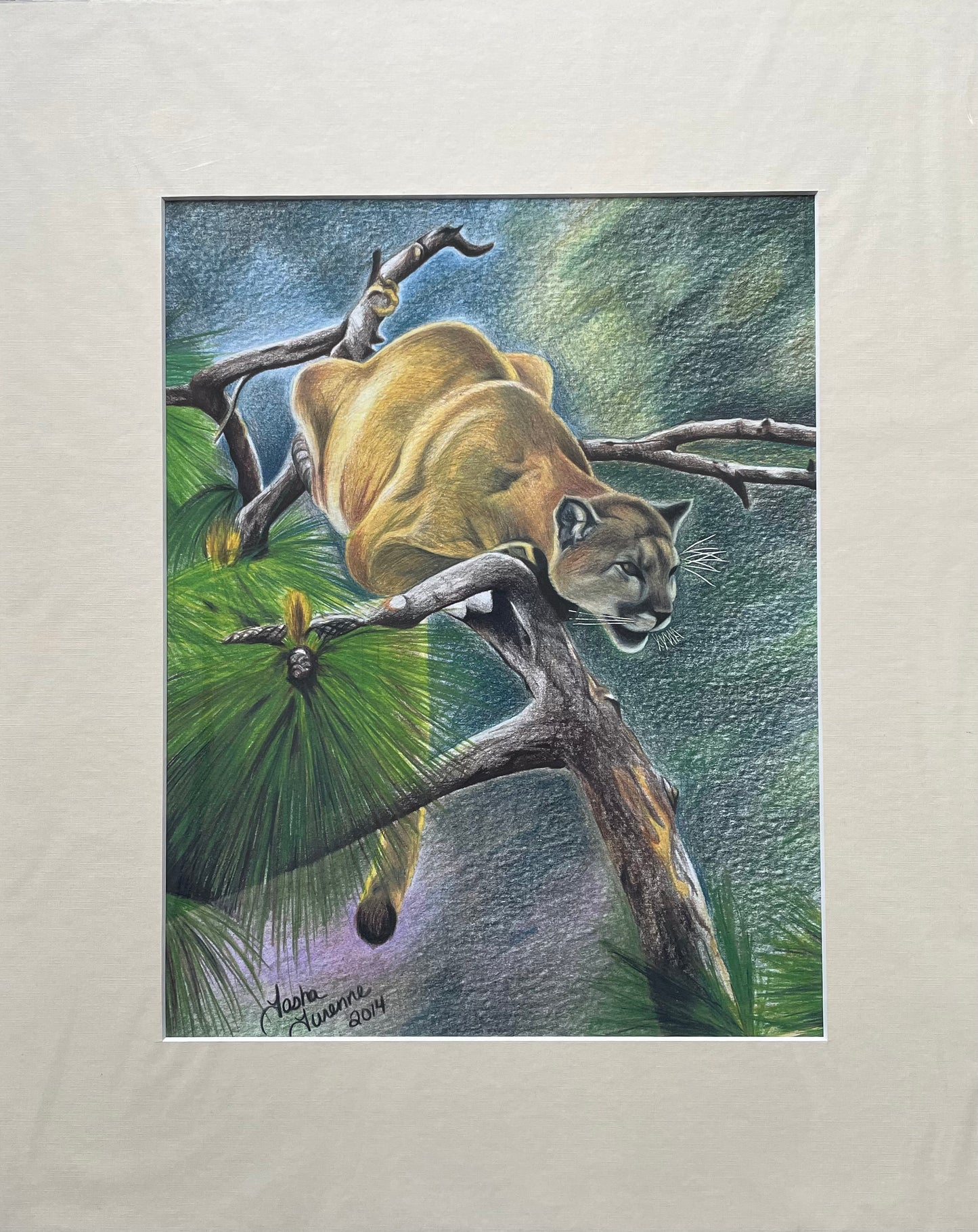 Mountain Lion Original & Print