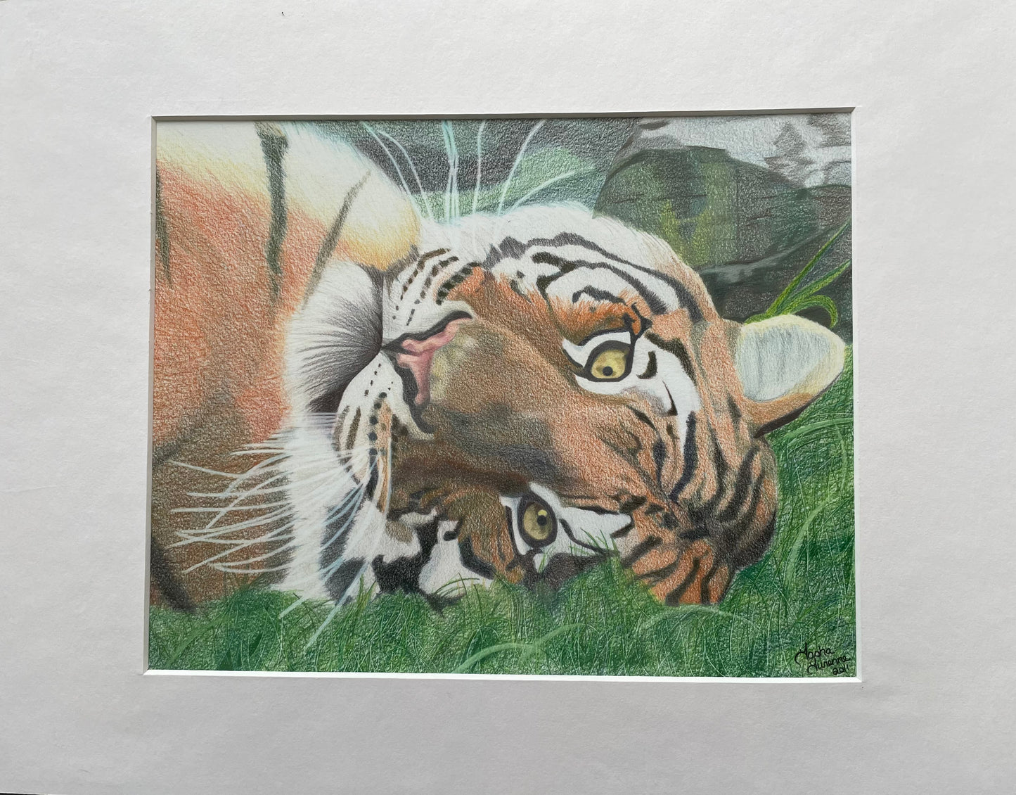 Lazy Days Tiger 8x10 Print