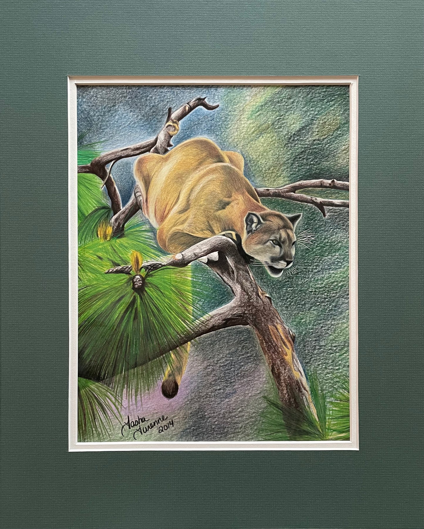 Mountain Lion Original & Print