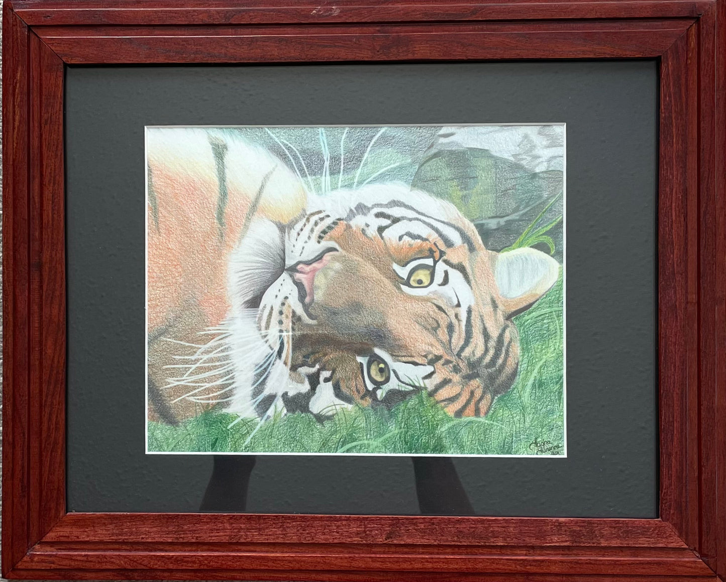 Lazy Days Tiger 8x10 Print